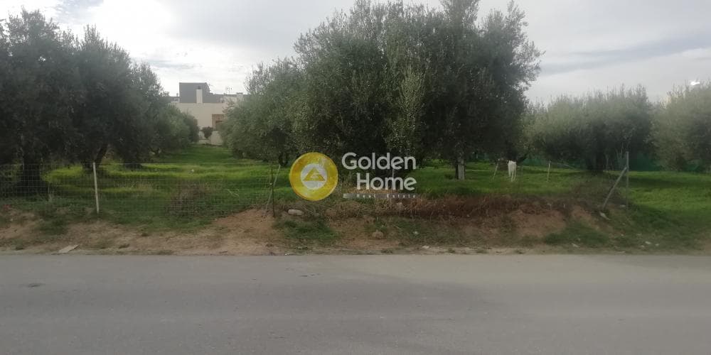 Οικόπεδο στην Βασιλείες, Αρχάνες — Φωτογραφία 1 από 9