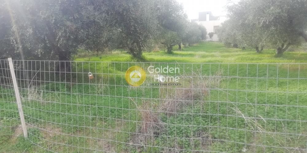 Οικόπεδο στην Βασιλείες, Αρχάνες — Φωτογραφία 2 από 9