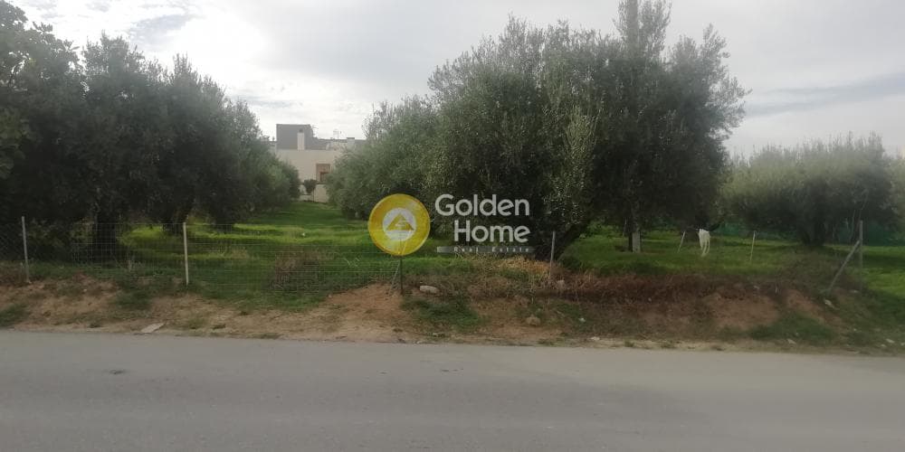 Οικόπεδο στην Βασιλείες, Αρχάνες — Φωτογραφία 4 από 9
