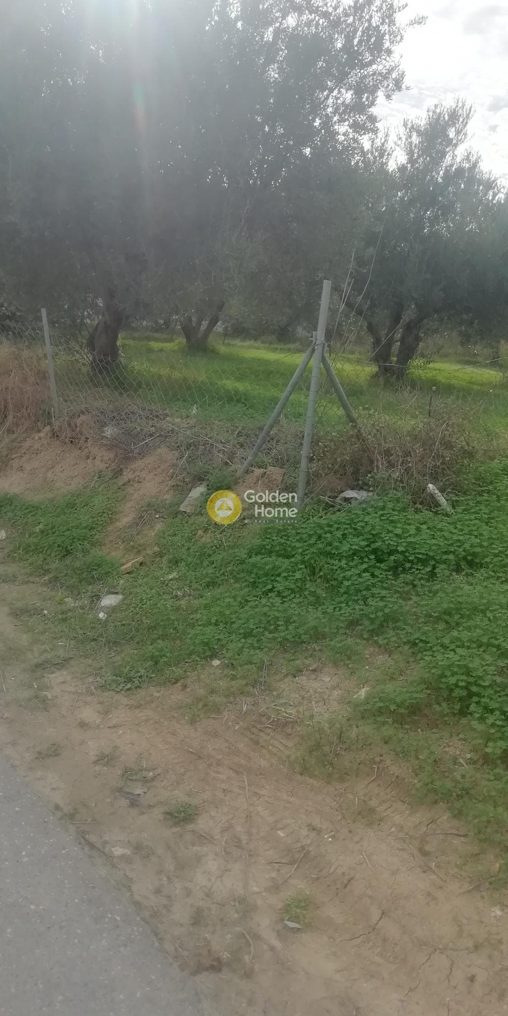Οικόπεδο στην Βασιλείες, Αρχάνες — Φωτογραφία 5 από 9