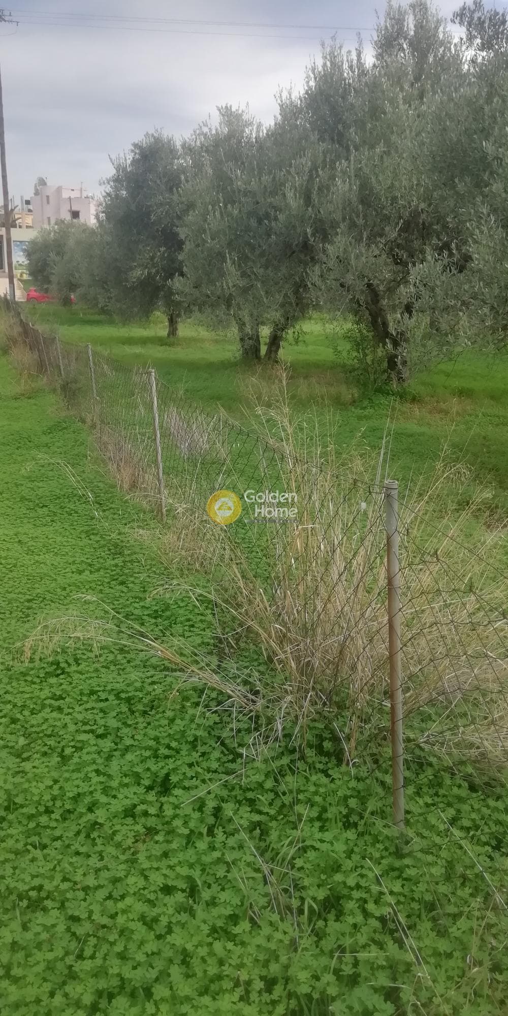 Οικόπεδο στην Βασιλείες, Αρχάνες — Φωτογραφία 8 από 9