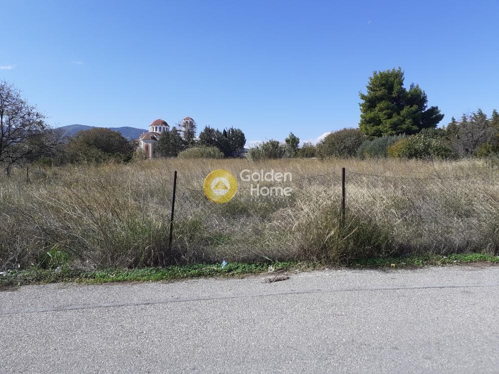 Building Plot in Kalogeriko, Pallini — Photo 1 of 6
