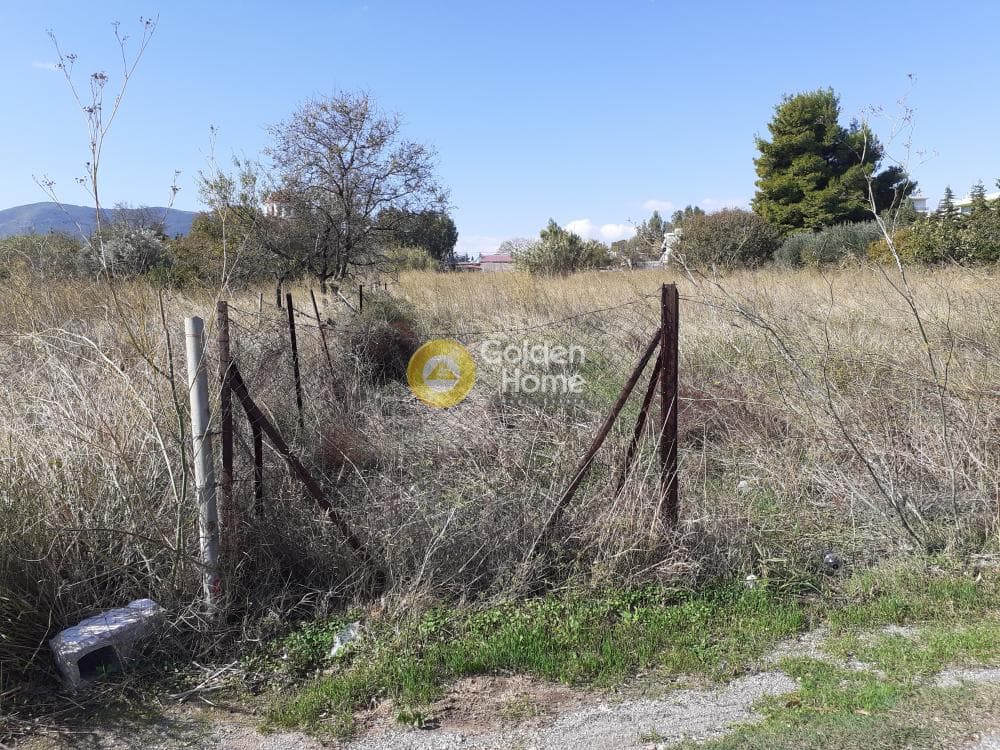 Building Plot in Kalogeriko, Pallini — Photo 6 of 6