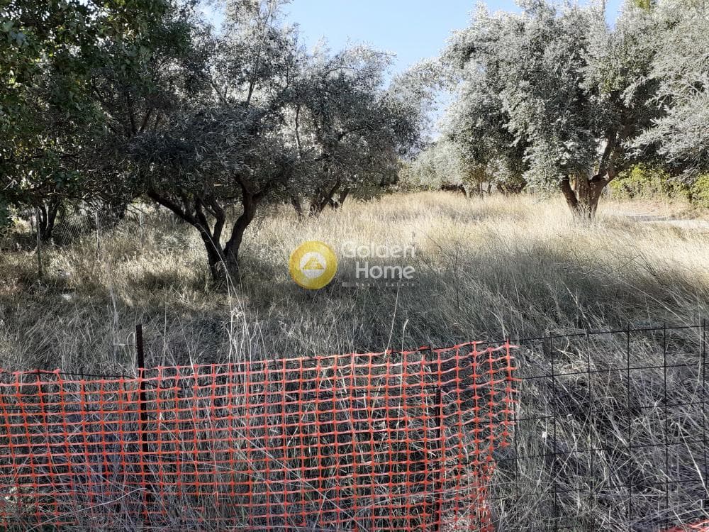 Αγροτεμάχιο στην Άνω Μπαλάνα, Παλλήνη — Φωτογραφία 1 από 8
