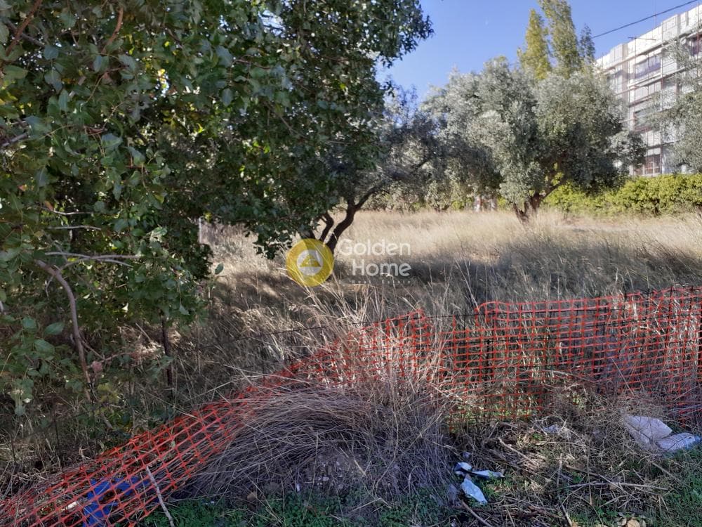 Αγροτεμάχιο στην Άνω Μπαλάνα, Παλλήνη — Φωτογραφία 2 από 8