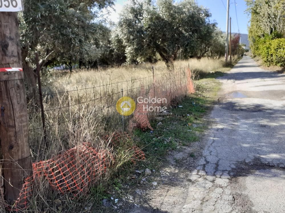 Αγροτεμάχιο στην Άνω Μπαλάνα, Παλλήνη — Φωτογραφία 3 από 8