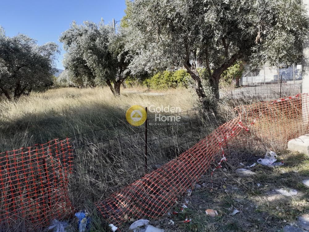 Αγροτεμάχιο στην Άνω Μπαλάνα, Παλλήνη — Φωτογραφία 4 από 8