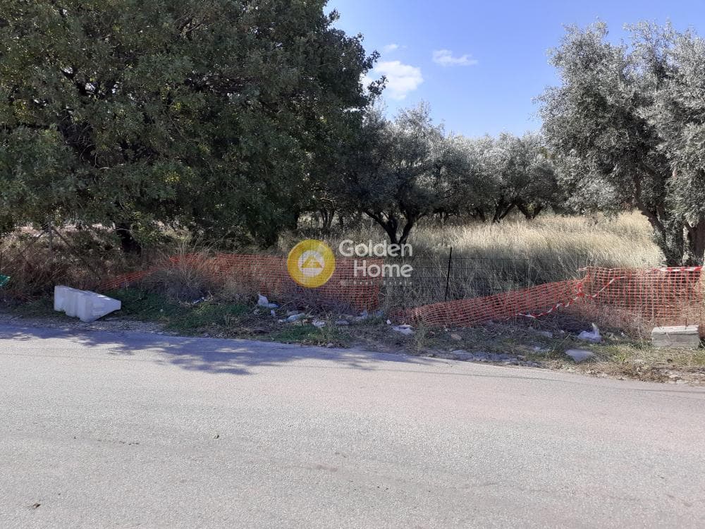 Αγροτεμάχιο στην Άνω Μπαλάνα, Παλλήνη — Φωτογραφία 5 από 8