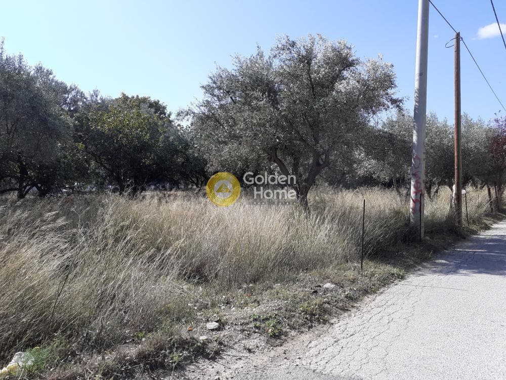 Αγροτεμάχιο στην Άνω Μπαλάνα, Παλλήνη — Φωτογραφία 8 από 8