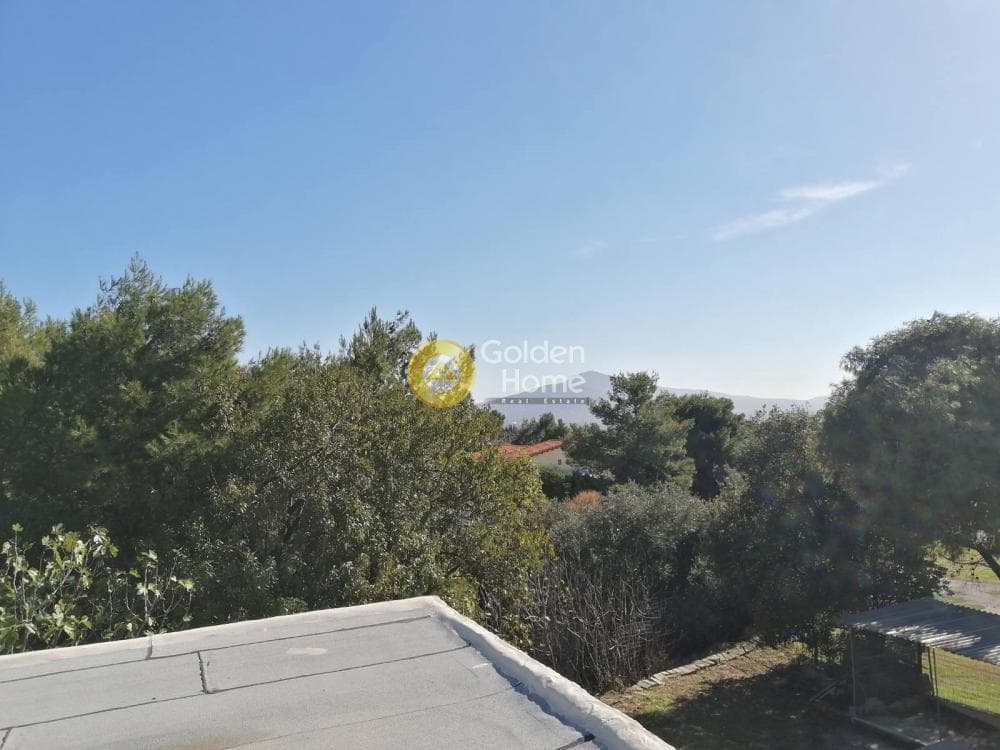 Μονοκατοικία στην Μεγάλα Σχοινία Α, Αχαρνές — Φωτογραφία 23 από 23