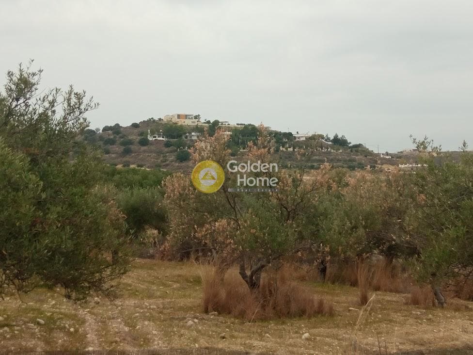 Οικόπεδο στην Καλαμάκι, Τυμπάκι — Φωτογραφία 1 από 10