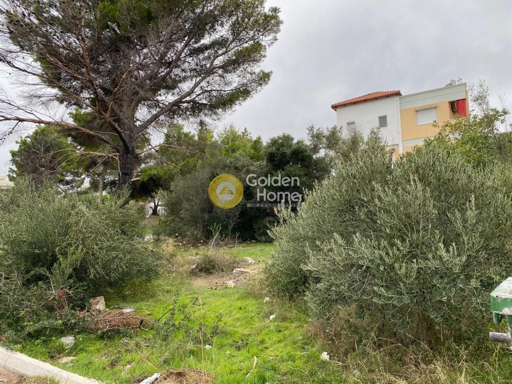 Building Plot in Oikismos Kokkino Limanaki, Rafina — Photo 5 of 7