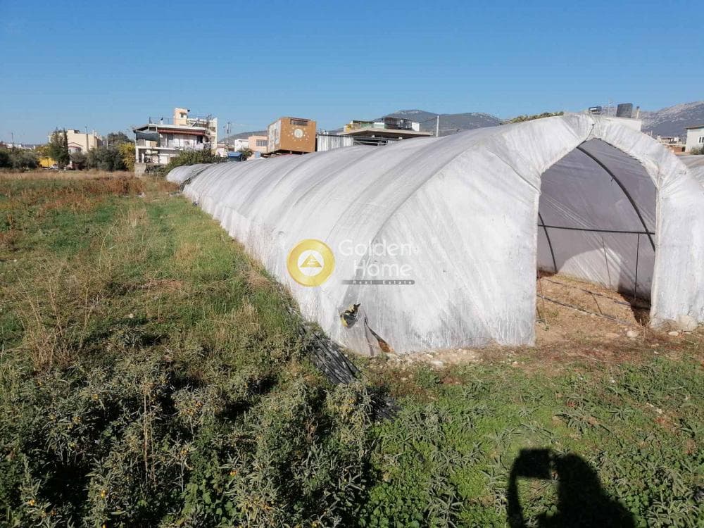 Αγροτεμάχιο στην Μεγάλα Σχοινία Α, Αχαρνές — Φωτογραφία 2 από 3