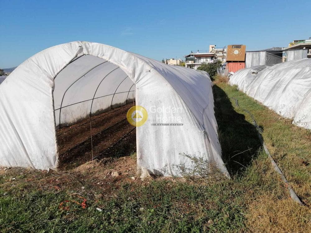 Αγροτεμάχιο στην Μεγάλα Σχοινία Α, Αχαρνές — Φωτογραφία 3 από 3