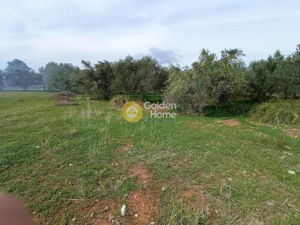Building Plot in Kokkinos Pirgos, Timpaki — Photo 11 of 13