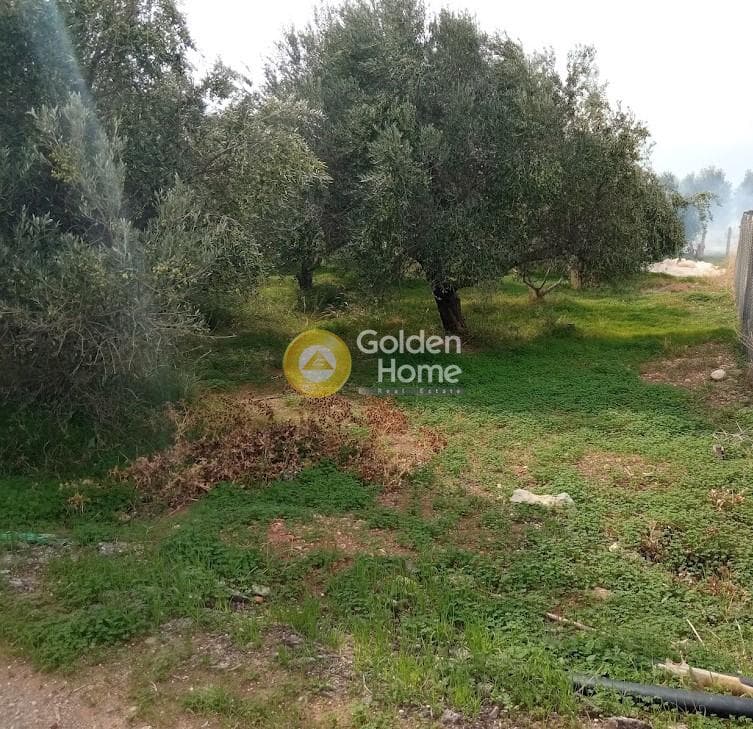 Building Plot in Kokkinos Pirgos, Timpaki — Photo 3 of 13