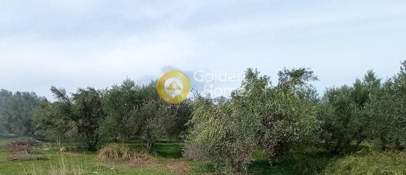 Building Plot in Kokkinos Pirgos, Timpaki — Photo 2 of 13