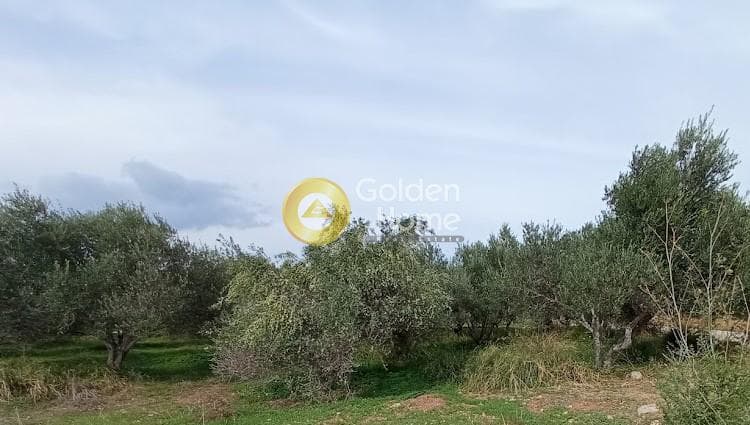 Building Plot in Kokkinos Pirgos, Timpaki — Photo 6 of 13