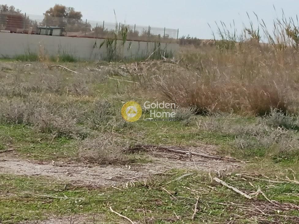 Οικόπεδο στην Καλαμάκι, Τυμπάκι — Φωτογραφία 3 από 6