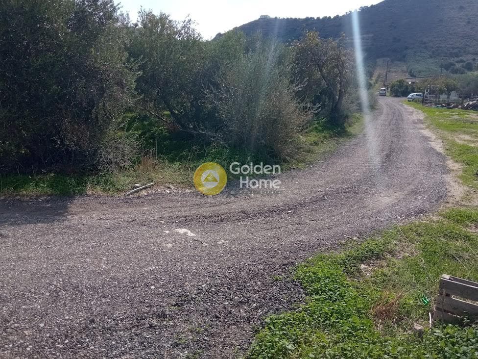 Αγροτεμάχιο στην Καλαμάκι, Τυμπάκι — Φωτογραφία 7 από 20