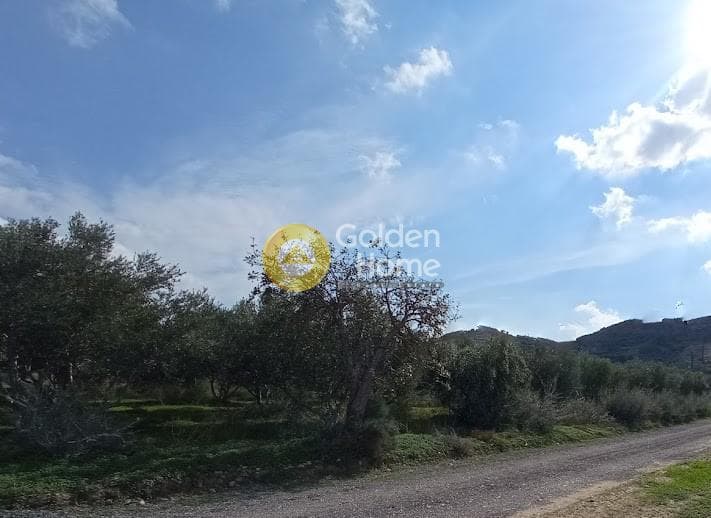 Αγροτεμάχιο στην Καλαμάκι, Τυμπάκι — Φωτογραφία 3 από 20