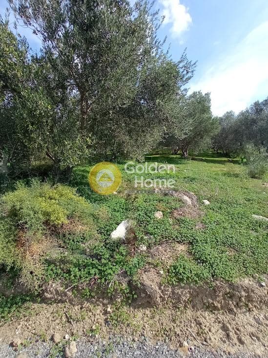 Αγροτεμάχιο στην Καλαμάκι, Τυμπάκι — Φωτογραφία 5 από 20