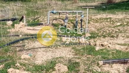 Αγροτεμάχιο στην Καλαμάκι, Τυμπάκι — Φωτογραφία 13 από 20