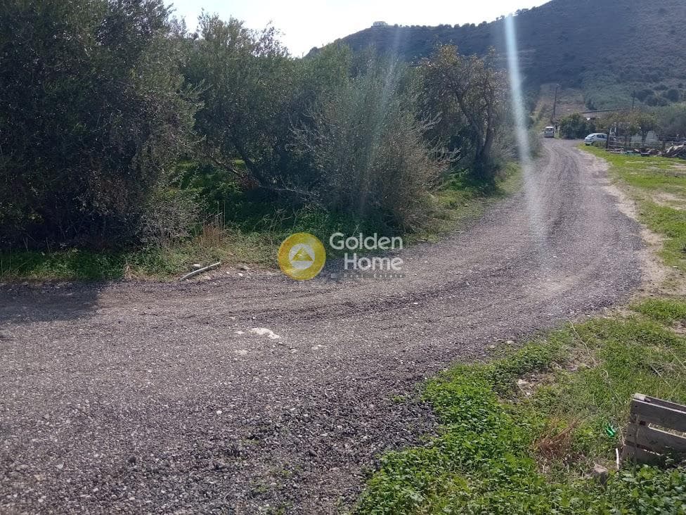 Αγροτεμάχιο στην Καλαμάκι, Τυμπάκι — Φωτογραφία 8 από 20