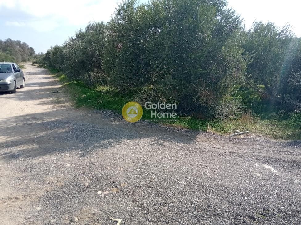 Αγροτεμάχιο στην Καλαμάκι, Τυμπάκι — Φωτογραφία 9 από 20