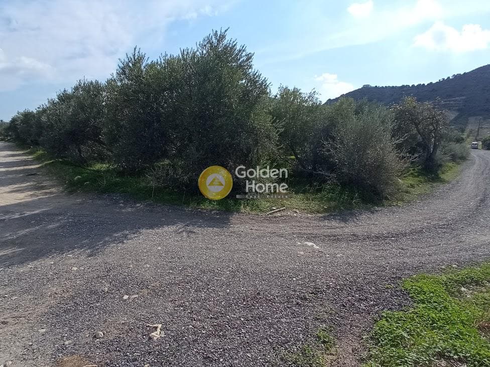 Αγροτεμάχιο στην Καλαμάκι, Τυμπάκι — Φωτογραφία 10 από 20
