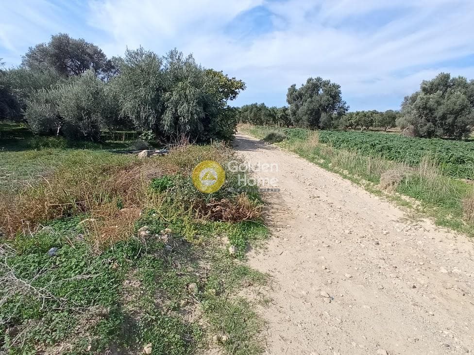 Αγροτεμάχιο στην Καλαμάκι, Τυμπάκι — Φωτογραφία 11 από 20