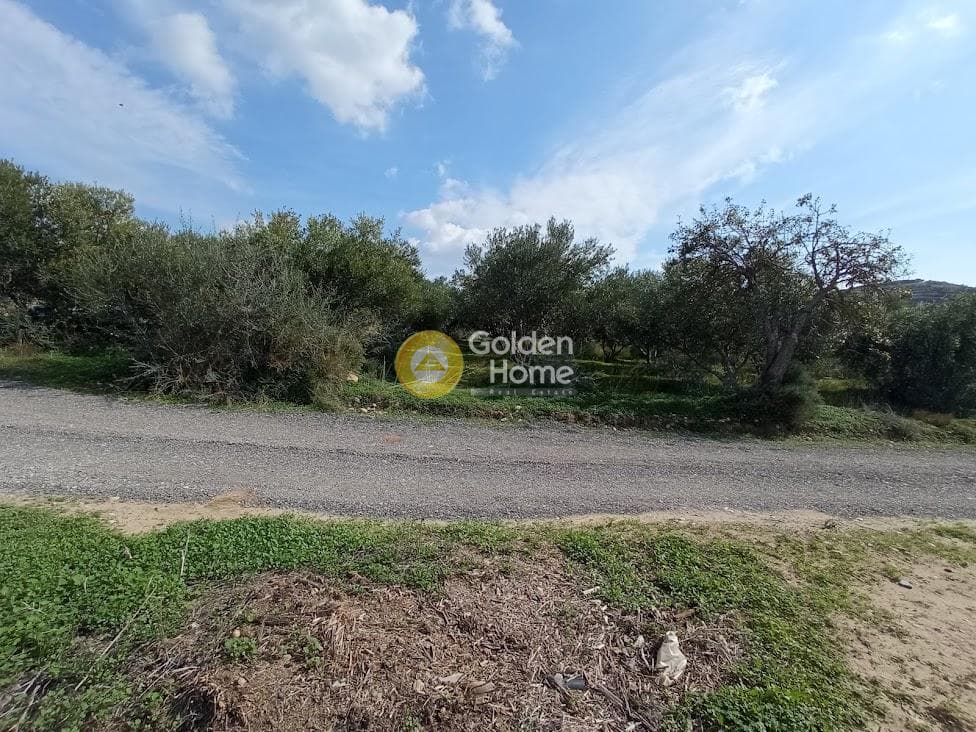 Αγροτεμάχιο στην Καλαμάκι, Τυμπάκι — Φωτογραφία 14 από 20