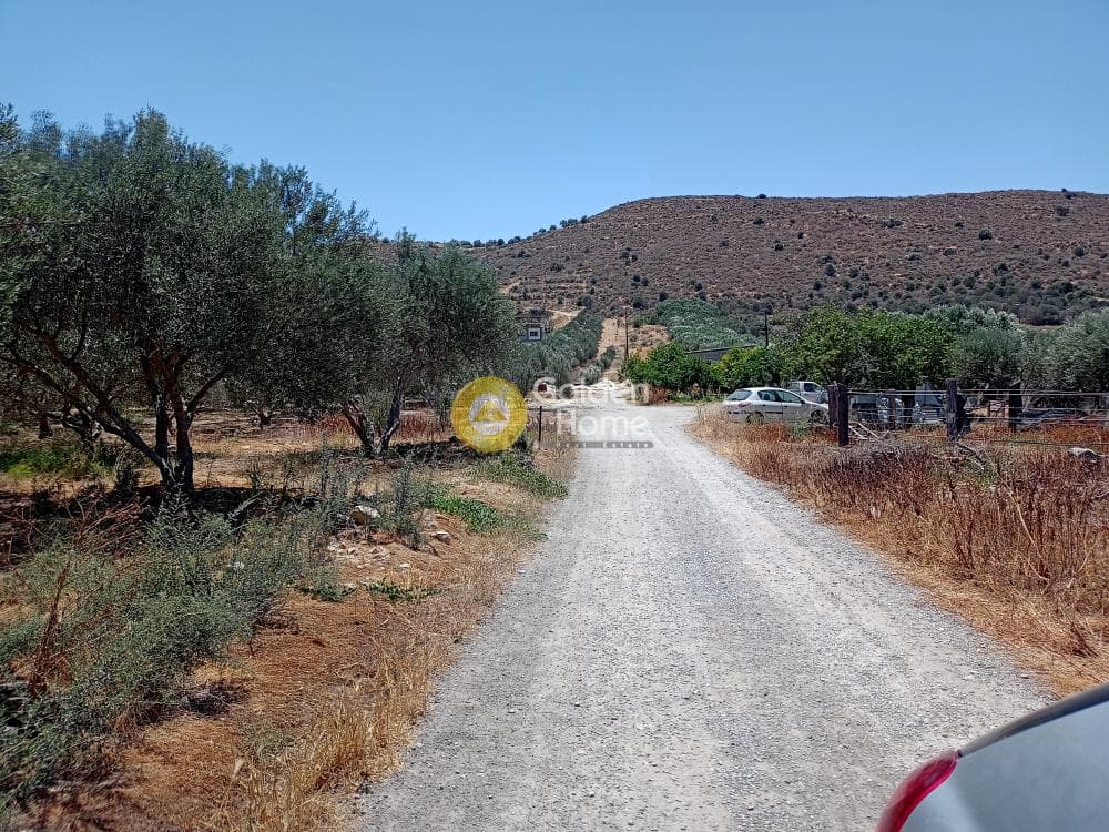 Αγροτεμάχιο στην Καλαμάκι, Τυμπάκι — Φωτογραφία 19 από 20