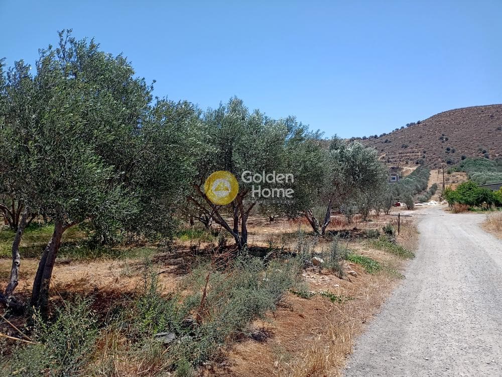 Αγροτεμάχιο στην Καλαμάκι, Τυμπάκι — Φωτογραφία 20 από 20