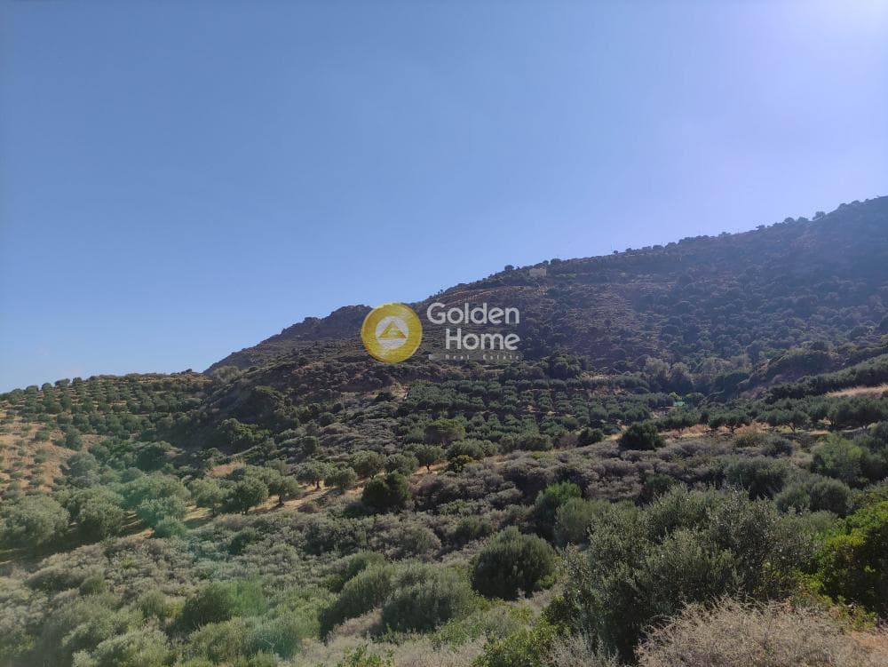 Αγροτεμάχιο στην Αγία Πελαγία, Γάζι — Φωτογραφία 3 από 10