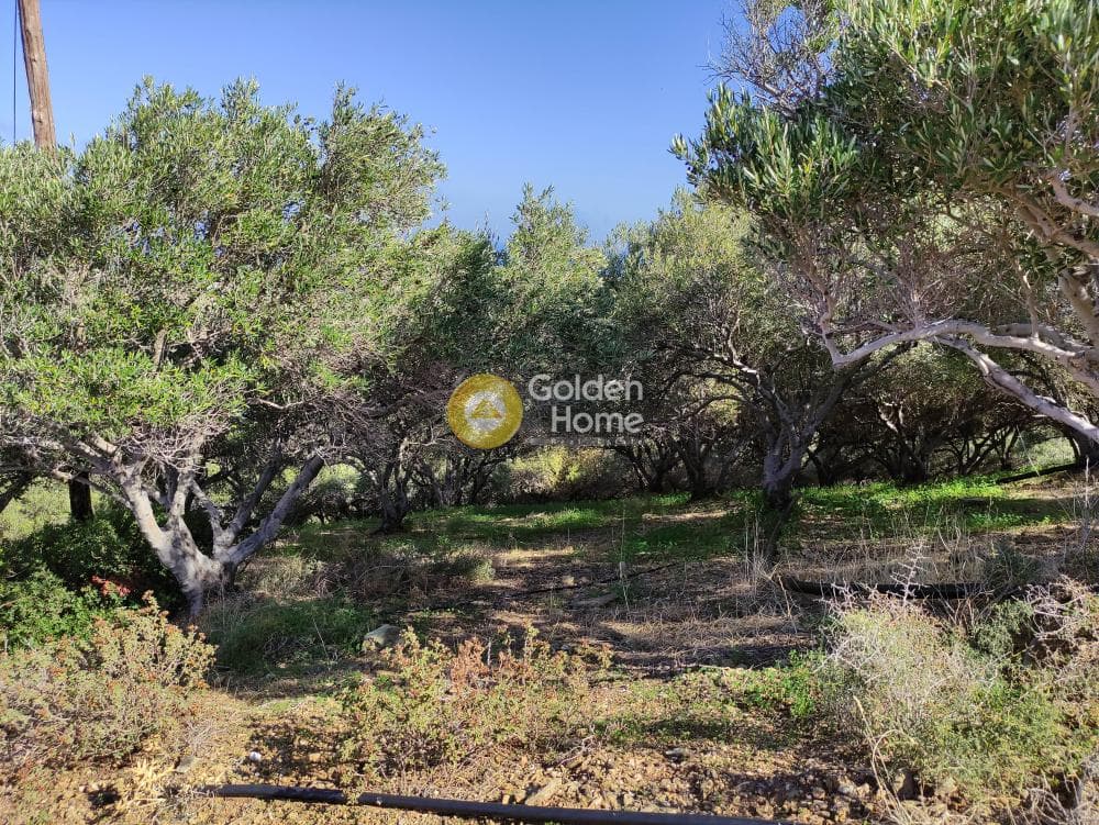 Αγροτεμάχιο στην Αγία Πελαγία, Γάζι — Φωτογραφία 6 από 10