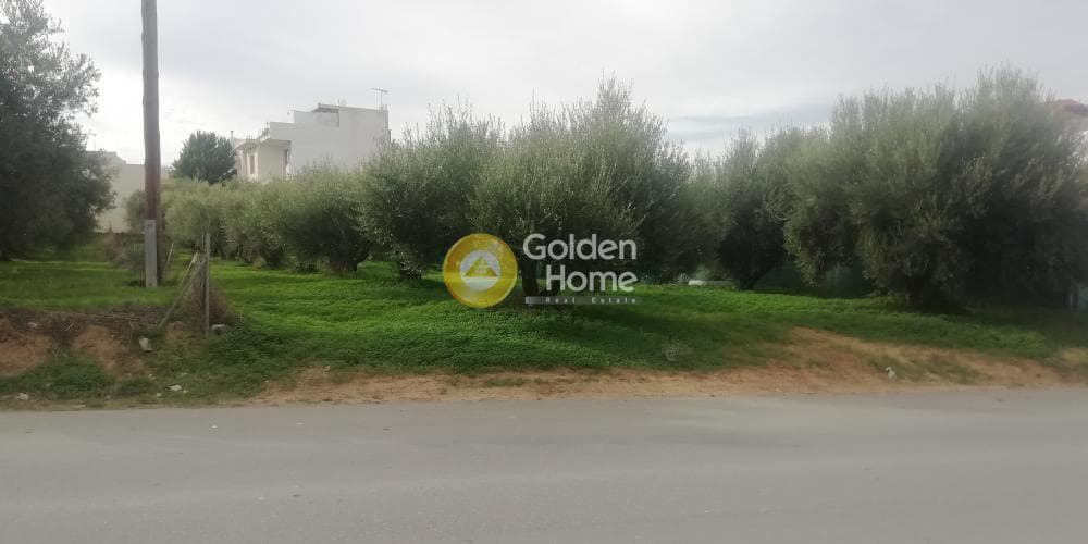 Οικόπεδο στην Βασιλείες, Αρχάνες — Φωτογραφία 1 από 11
