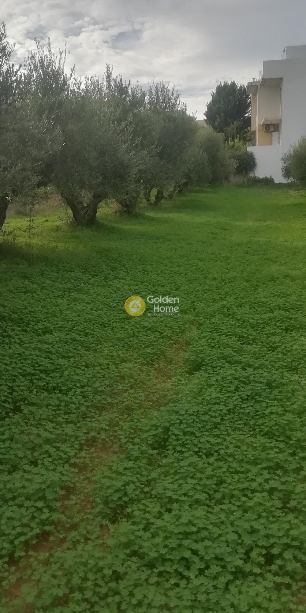 Οικόπεδο στην Βασιλείες, Αρχάνες — Φωτογραφία 2 από 11