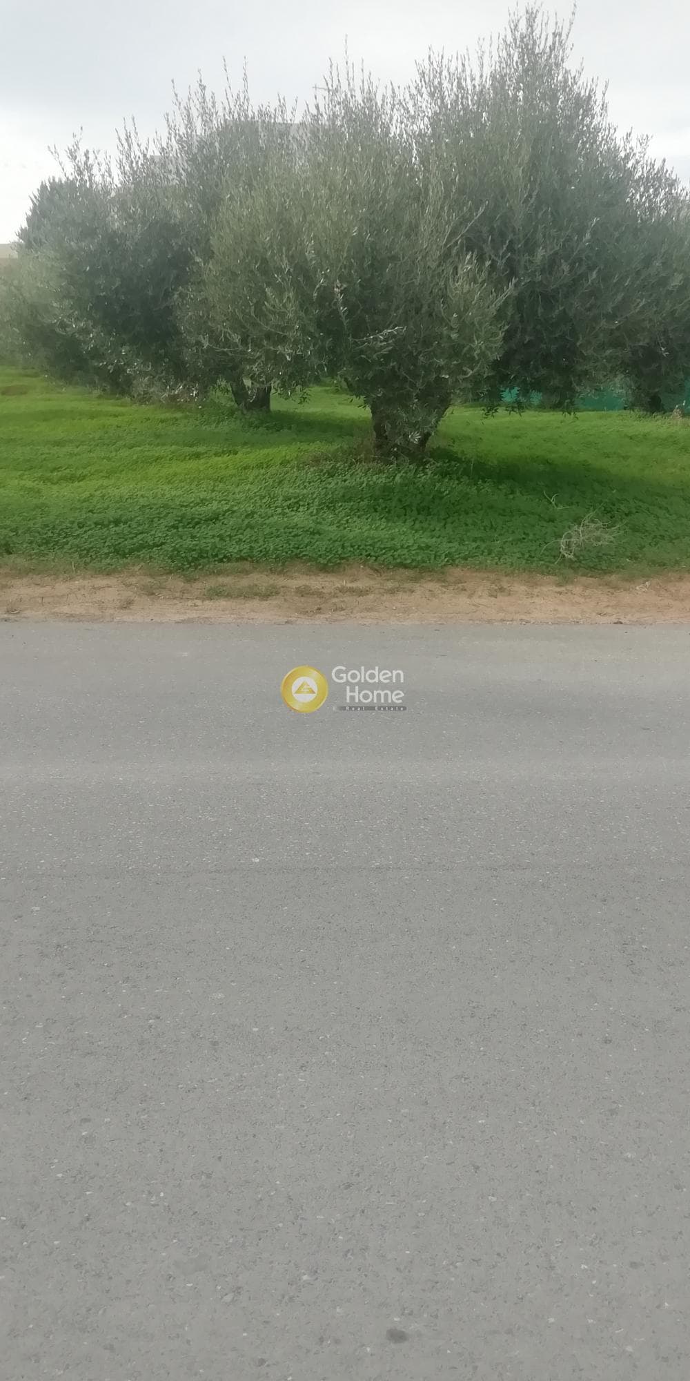 Οικόπεδο στην Βασιλείες, Αρχάνες — Φωτογραφία 6 από 11