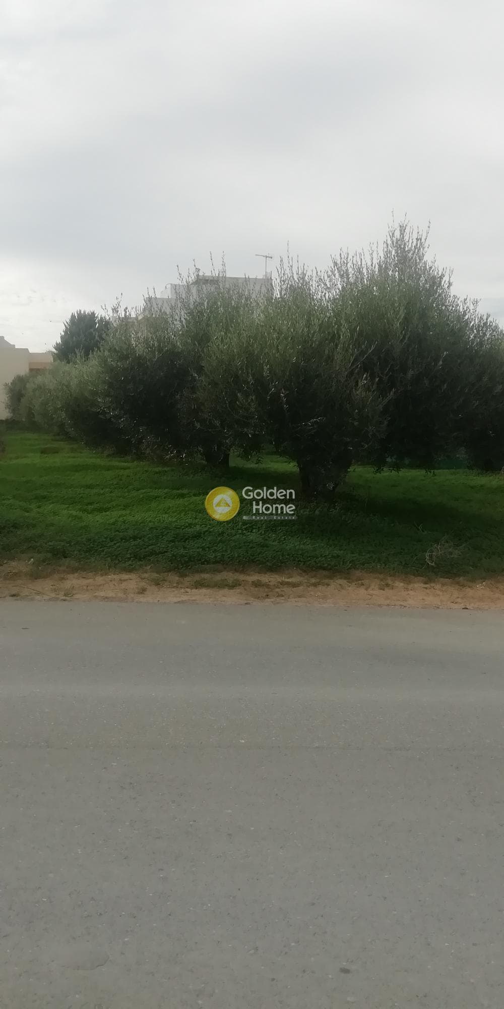 Οικόπεδο στην Βασιλείες, Αρχάνες — Φωτογραφία 7 από 11