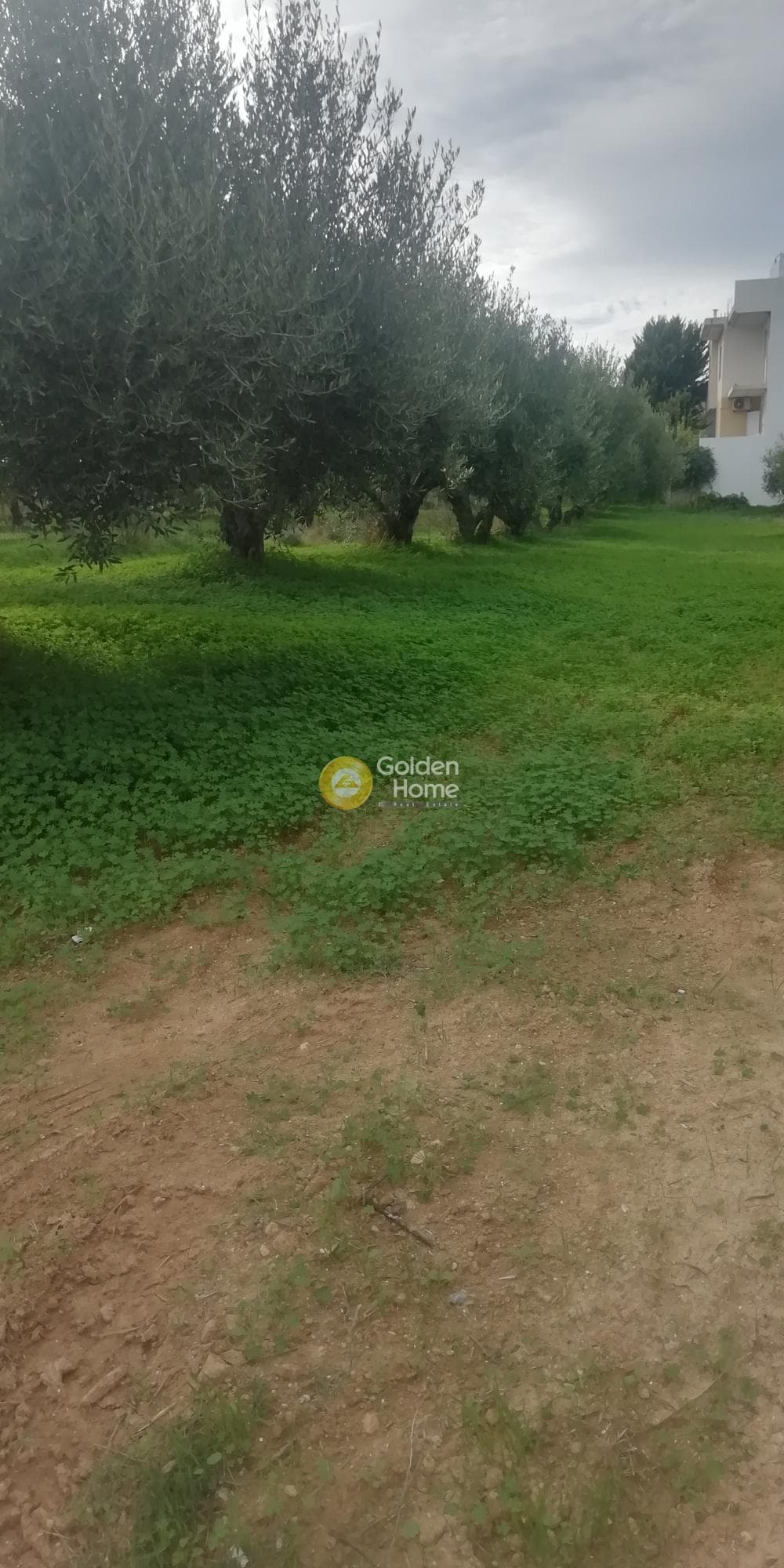 Οικόπεδο στην Βασιλείες, Αρχάνες — Φωτογραφία 11 από 11