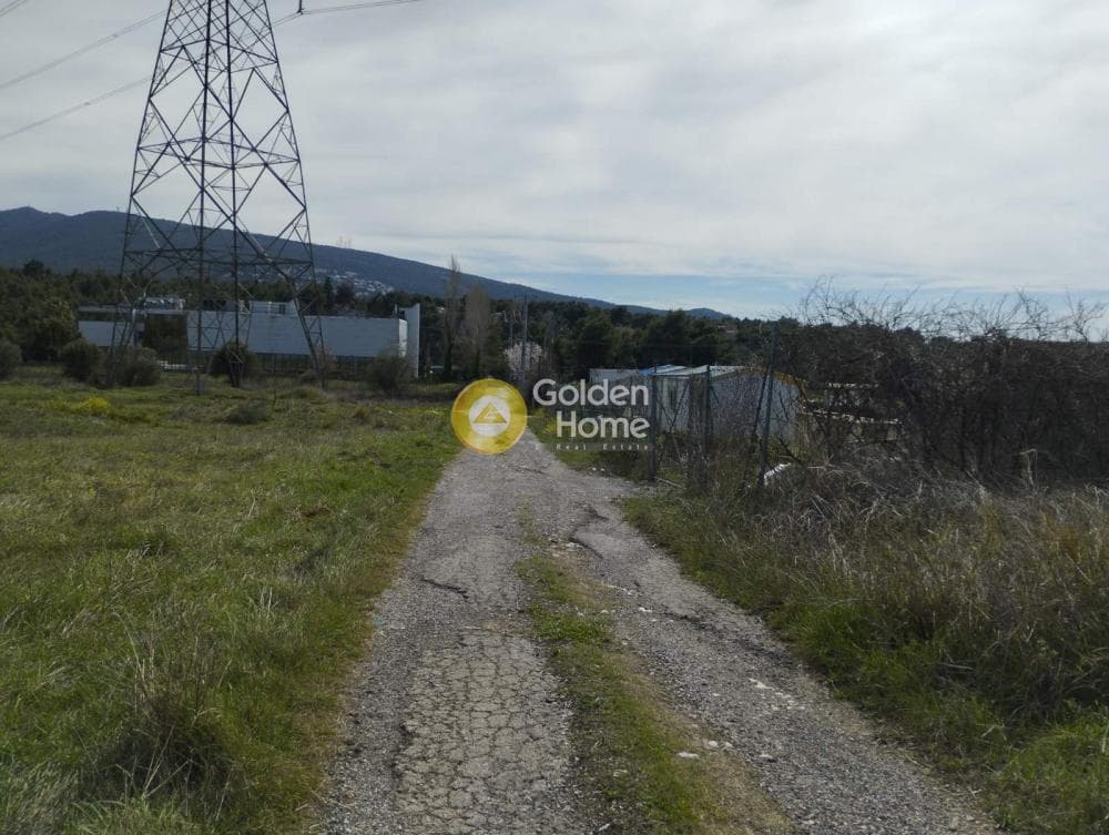 Parcel in Anoixi, Anoixi — Photo 10 of 10