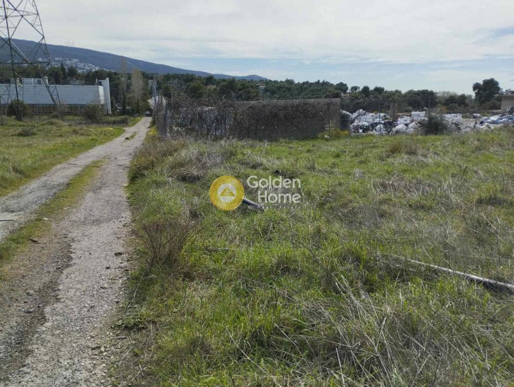 Parcel in Anoixi, Anoixi — Photo 8 of 10