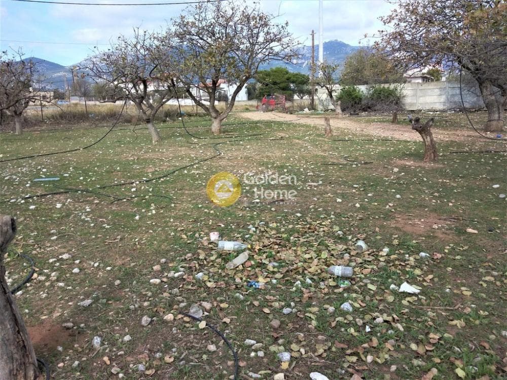 Αγροτεμάχιο στην Ολυμπιακό Χωριό, Κηφισιά — Φωτογραφία 2 από 16