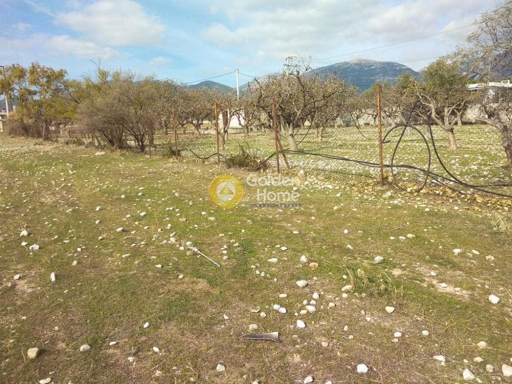 Αγροτεμάχιο στην Ολυμπιακό Χωριό, Κηφισιά — Φωτογραφία 6 από 16