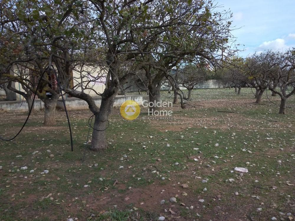 Αγροτεμάχιο στην Ολυμπιακό Χωριό, Κηφισιά — Φωτογραφία 7 από 16