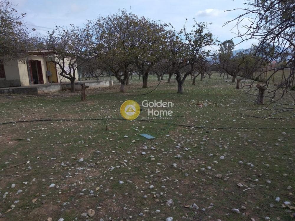 Αγροτεμάχιο στην Ολυμπιακό Χωριό, Κηφισιά — Φωτογραφία 9 από 16