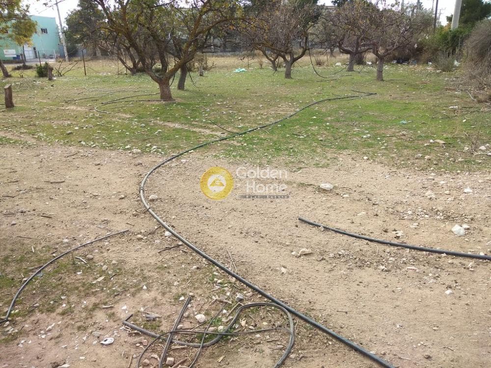 Αγροτεμάχιο στην Ολυμπιακό Χωριό, Κηφισιά — Φωτογραφία 10 από 16