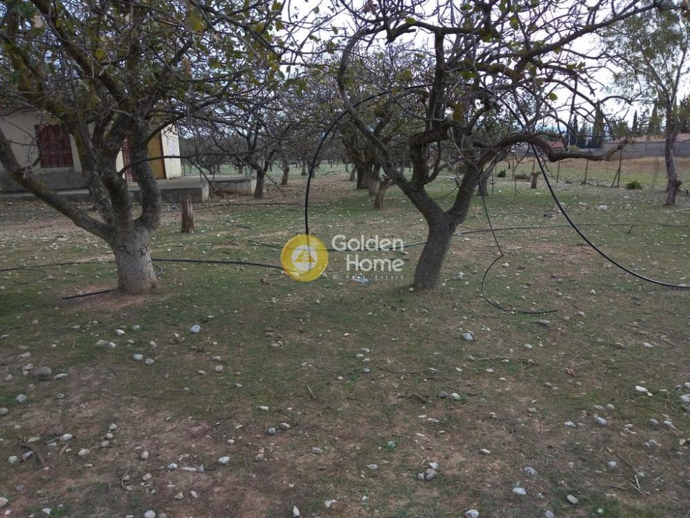 Αγροτεμάχιο στην Ολυμπιακό Χωριό, Κηφισιά — Φωτογραφία 15 από 16