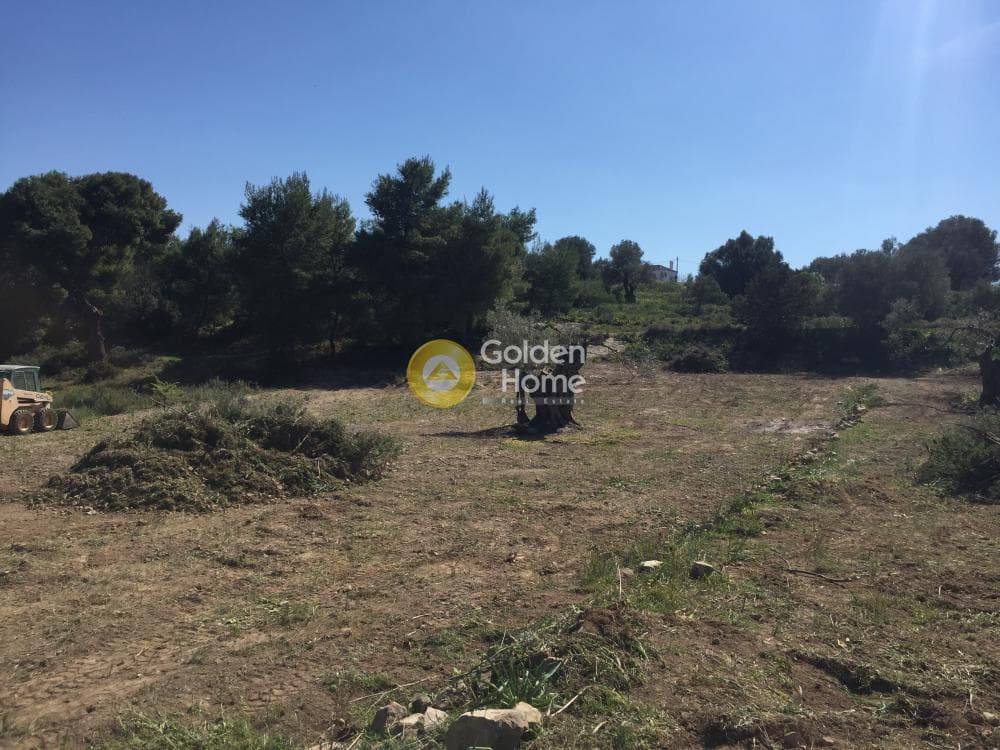 Οικόπεδο στην Μεσαγρός, Αίγινα — Φωτογραφία 2 από 3